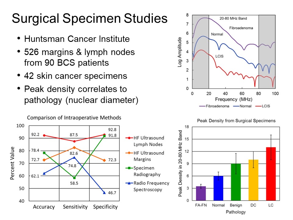 Slide 6